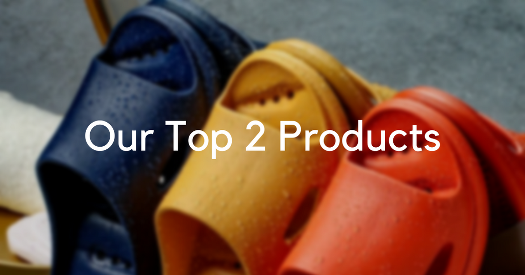 Our Top 2 Products