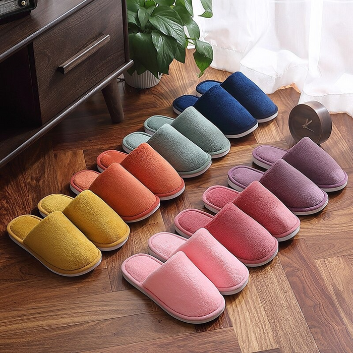 The Basic Colorful Home Slides