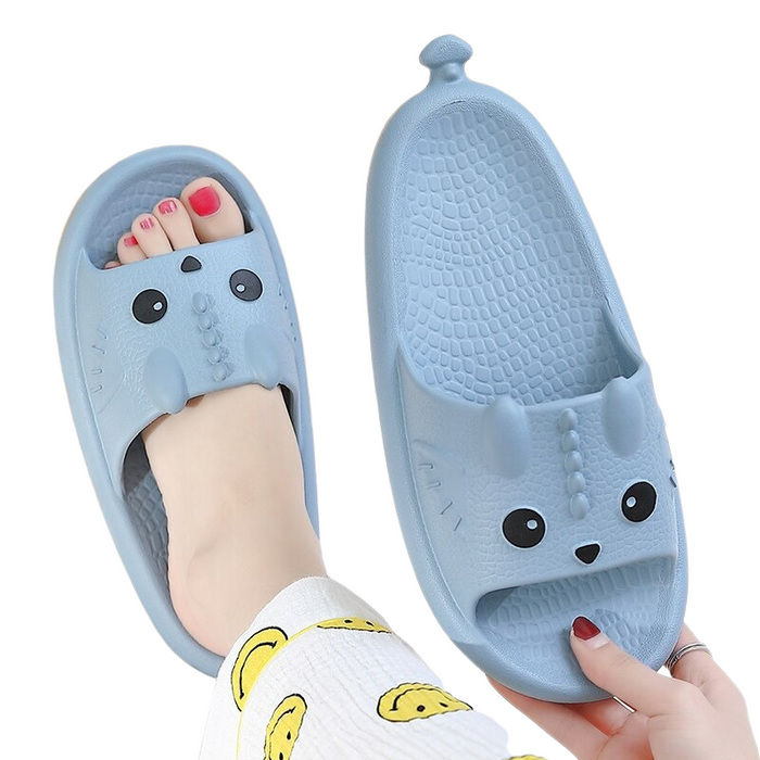 The Cat Face Slides